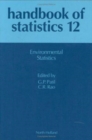 Image for Environmental Statistics : Volume 12