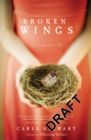 Image for Broken wings  : a novel