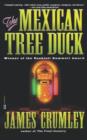 Image for The Mexican Tree Duck