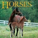 Image for Horses : An Abridgement of Harold Roth&#39;s Big Book of Horses