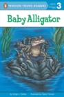 Image for Baby Alligator