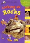 Image for Looking at Rocks