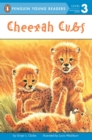 Image for Cheetah Cubs