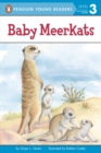 Image for Baby Meerkats