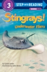 Image for Stingrays! Underwater Fliers