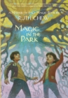 Image for A Matter-of-Fact Magic Book: Magic in the Park