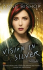 Image for Vision In Silver