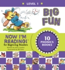Image for Now I&#39;m Reading! Level 1: Big Fun