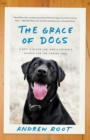 Image for Grace of Dogs: A Boy, a Black Lab, and a Father&#39;s Search for the Canine Soul