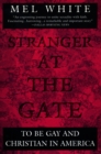 Image for Stranger at the Gate