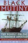 Image for Black mutiny  : the revolt on the Schooner Amistad