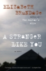 Image for A Stranger Like You : A Novel