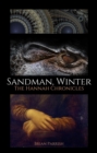 Image for Sandman, Winter: The Hannah Chronicles