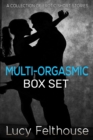 Image for Multi-Orgasmic Box Set