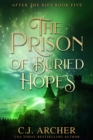 Image for Prison of Buried Hopes