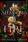 Image for Shadows of Fire (The Shadow Realms, Book 1)