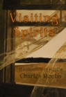 Image for Visiting Spirits