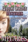 Image for Pebble Garden Mysteries and the Unseeable Clues