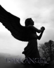 Image for Dark Angel : Sir Michael dark angel Art Journal