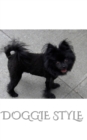 Image for Doogie Style Pomeranian Journal : Doggie Style Journal