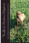 Image for The Life of a Rhodesian Ridgeback : loyal, intelligent, mischievous, dignified, faithful, gentle, protective