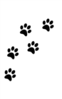 Image for dog paw print Writing Drawing Journal