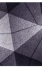 Image for The Triangular Fold