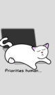 Image for Catlover&#39;s Notebook - Blank Lined Pages - Priorities Human : Notebook for Catlovers - Cat Laptop