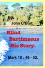 Image for Blind Bartimaeus His Story.