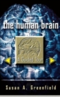 Image for The Human Brain : A Guided Tour