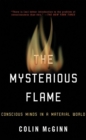 Image for The mysterious flame  : conscious minds in a material world