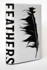 Image for Feathers : The Evolution of a Natural Miracle