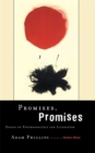 Image for Promises, promises  : essays on psychoanalysis and literature