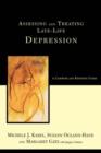 Image for Assessing And Treating Late-life Depression: A Casebook And Resource Guide