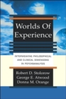 Image for Worlds of experience  : interweaving philosophical and clinical dimensions in psychoanalysis
