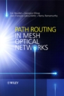 Image for Path Routing in Mesh Optical Networks