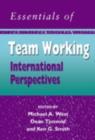 Image for The essentials of teamworking: international perspectives