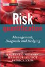 Image for Risk Quantification : Management, Diagnosis and Hedging