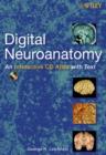 Image for Digital neuroanatomy