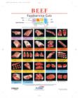 Image for North American Meat Processors Beef Notebook Guide