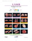 Image for North American Meat Processors Lamb Notebook Guide