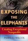 Image for Exposing the elephants: creating exceptional nonprofits