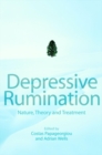 Image for Rumination: nature, theory &amp; treatment for nagative thinking in depression