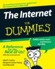 Image for The Internet for Dummies