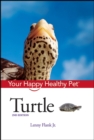 Image for Turtle
