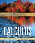 Image for Multivariable calculus