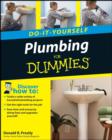 Image for Plumbing Do-it-Yourself For Dummies