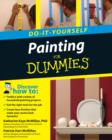 Image for Painting Do-it-Yourself For Dummies