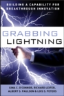 Image for Grabbing lightning: building a capability for breakthrough innovation