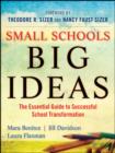 Image for Small schools, big ideas  : the essential guide to successful school transformation